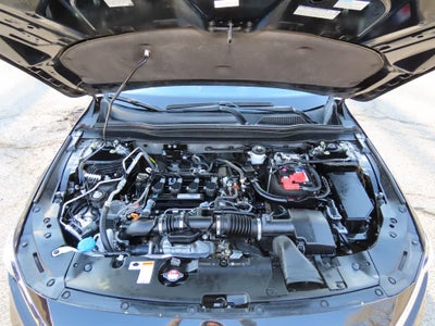 2019 Honda Accord Sedan LX 1.5T