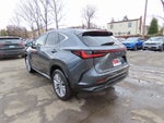 2024 Lexus NX Luxury