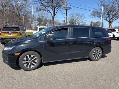 2025 Honda Odyssey EX-L