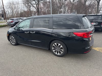 2023 Honda Odyssey EX-L