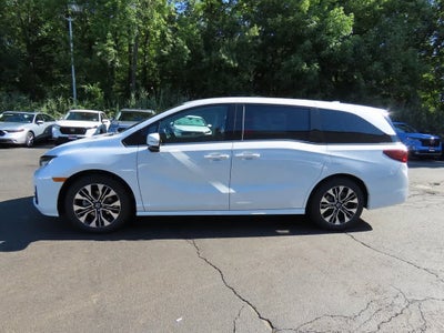 2026 Honda Odyssey Elite