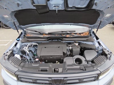 2026 Honda Passport RTL Blackout