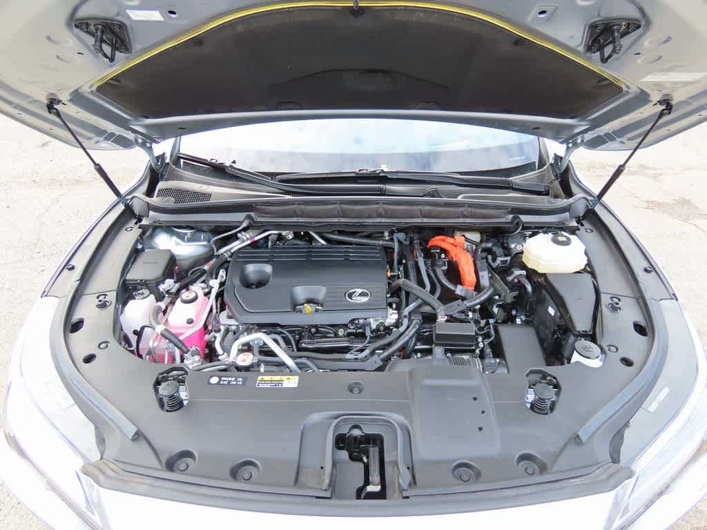 2025 Lexus RX Luxury