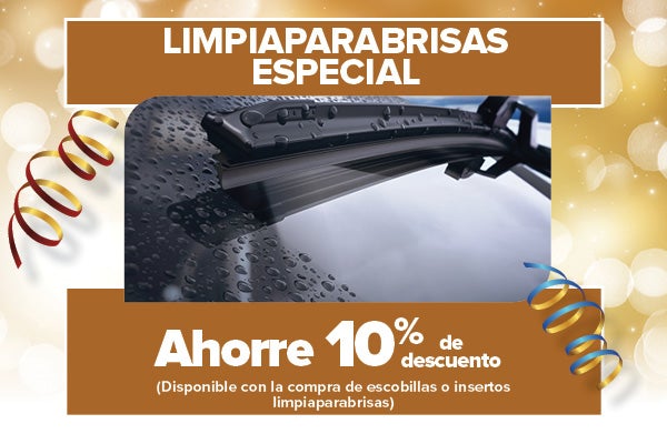 Limpiaparabrisas Especial