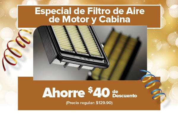 Especial de Filtro de Aire de Motor y Cabina