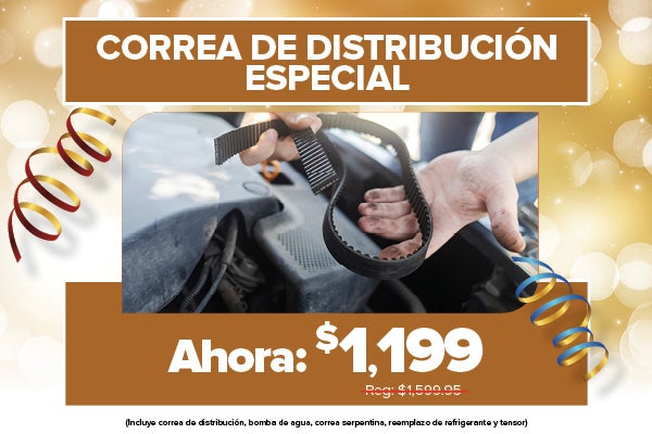 Correa de Distribución Especial