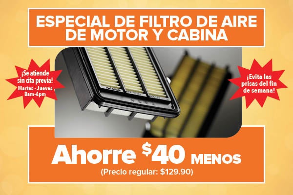 Especial de Filtro de Aire de Motor y Cabina