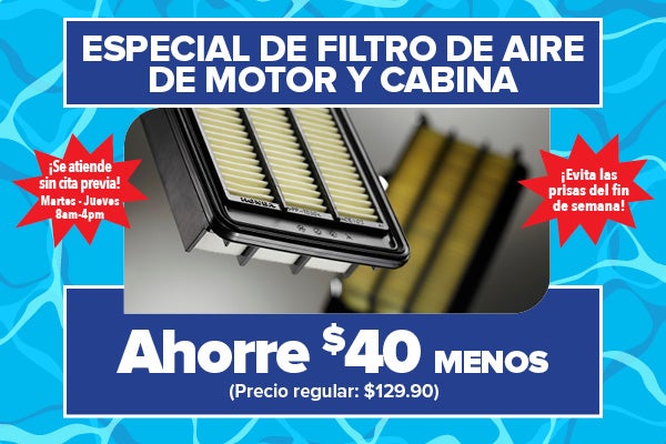 Especial de Filtro de Aire de Motor y Cabina
